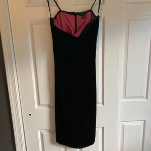 Ann Taylor velvet dress (petite)